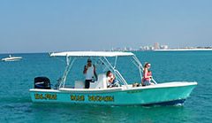 Blue Dolphin Tours